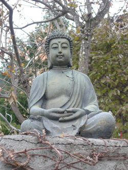 Zentrierung und Ruhe Feng Shui Buddha
